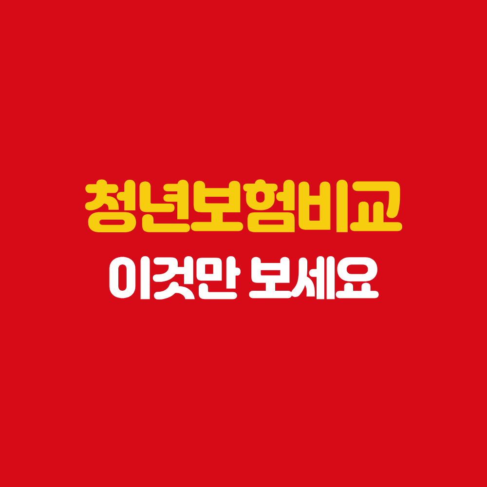 광주 보험설계사 청년보험비교 이것만 보세요